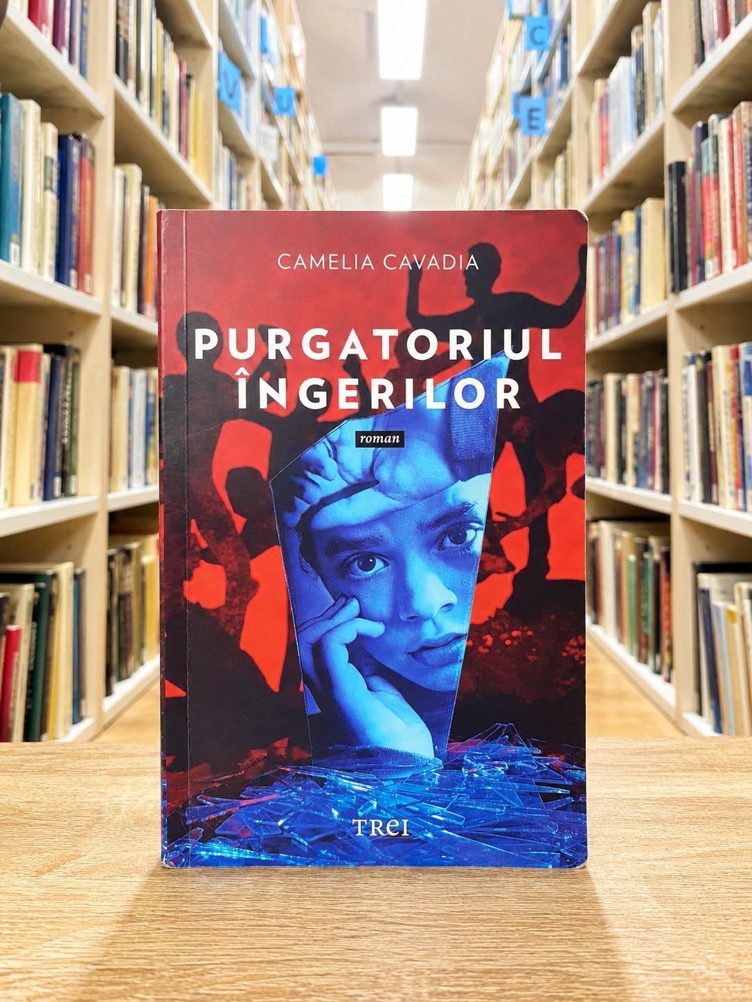 Purgatoriul îngerilor